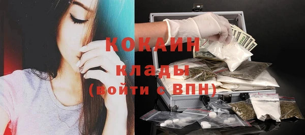 твердый Аркадак
