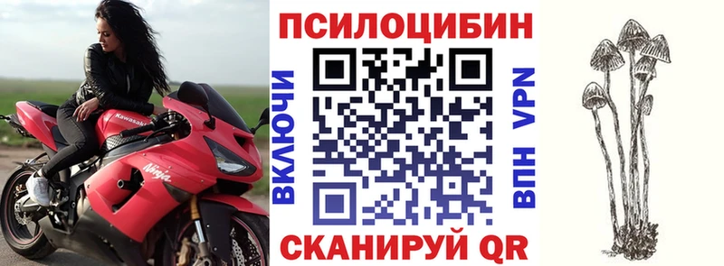 Галлюциногенные грибы ЛСД  площадка Telegram  Ливны 
